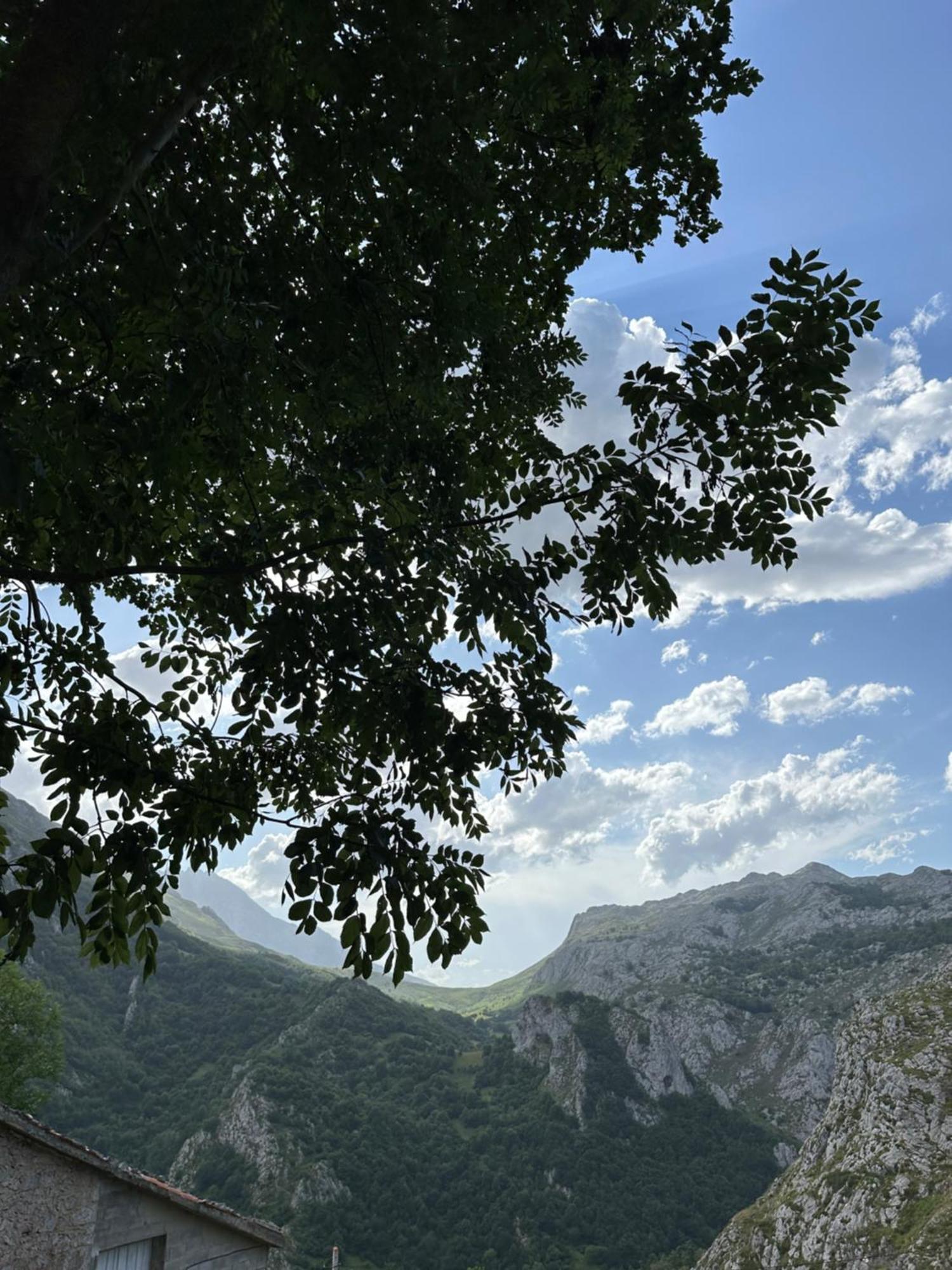 Albergue Pena Castil Sotres Exteriör bild